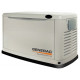 Generac 5915