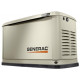 Generac 7046